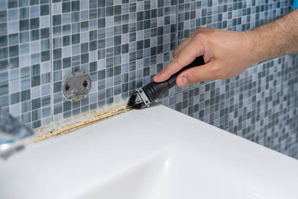 Best Certified Mold Removal  in Maple Heights Lake Desire, WA